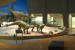 Evolution entdecken im Naturkunde Museum Stuttgart